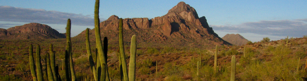 Ajo, Arizona