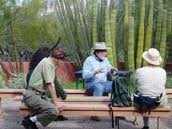 Patio Talk @ Organ Pipe Cactus National Monument Visitor Center | Arizona | United States